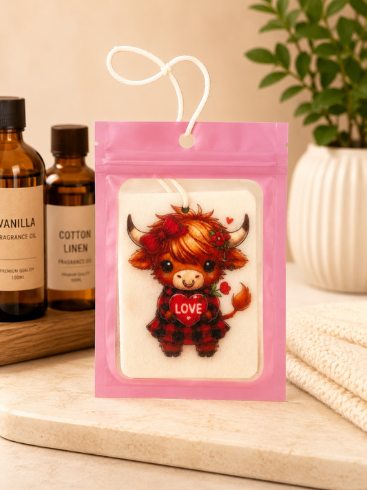 Car Air Fresheners